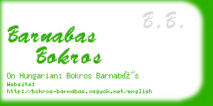 barnabas bokros business card